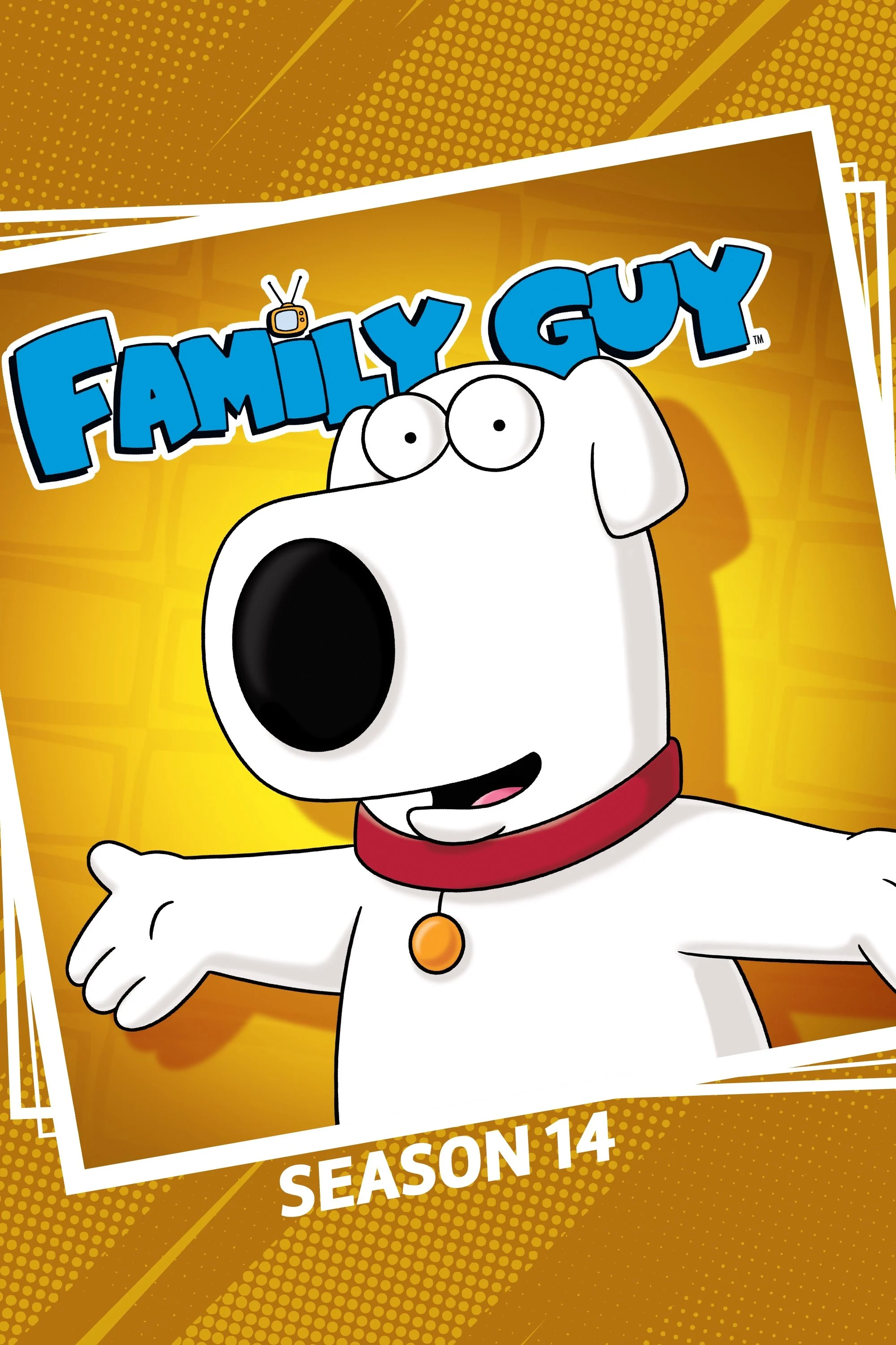 Family Guy (Phần 14) - Family Guy (Season 14) (2015)