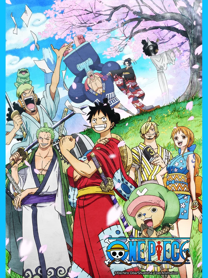 Vua Hải Tặc: Chương Chopper Plus – Nở Rộ Giữa Mùa đông, Cây Hoa Anh đào Huyền Diệu - One Piece Movie 9: Episode Of Chopper Plus - Fuyu Ni Saku, Kiseki No Sakura (2008)
